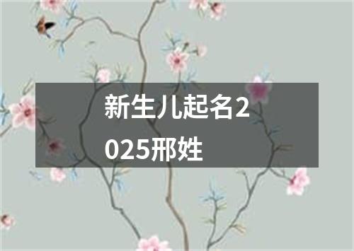 新生儿起名2025邢姓