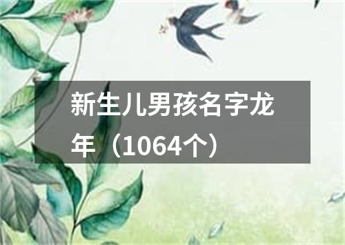 新生儿男孩名字龙年（1064个）