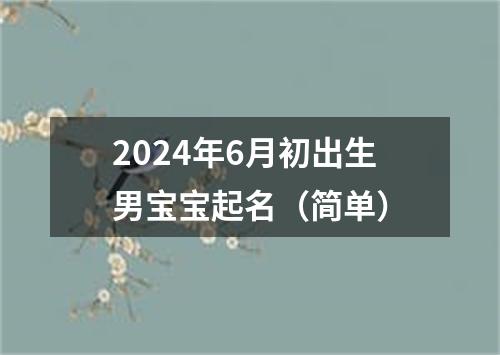 2024年6月初出生男宝宝起名（简单）