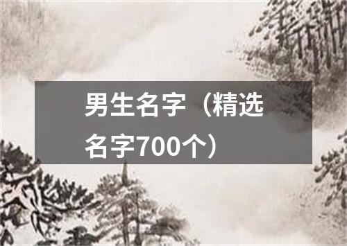 男生名字（精选名字700个）