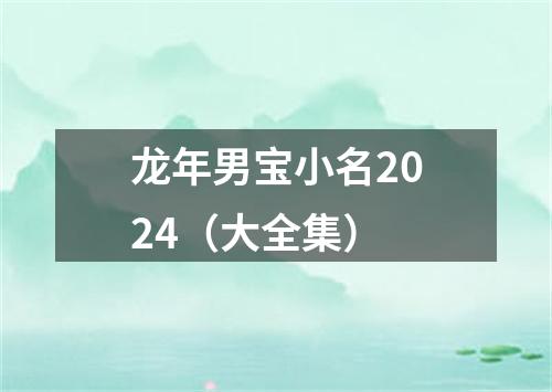 龙年男宝小名2024（大全集）