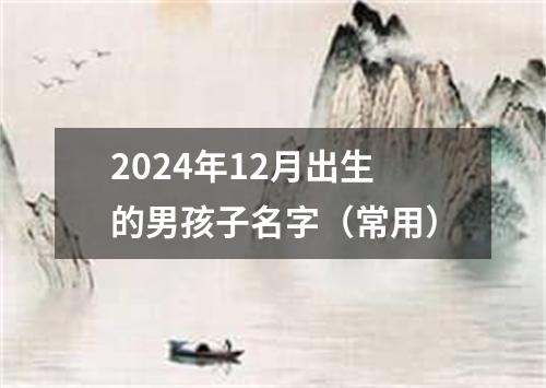 2024年12月出生的男孩子名字（常用）