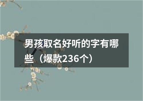 男孩取名好听的字有哪些（爆款236个）