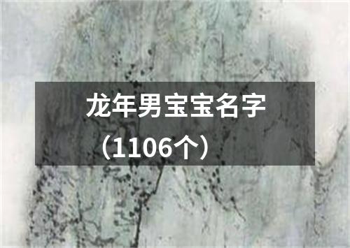 龙年男宝宝名字（1106个）