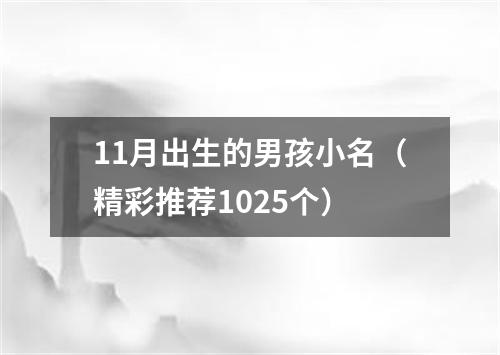 11月出生的男孩小名（精彩推荐1025个）