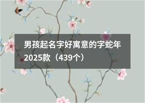 男孩起名字好寓意的字蛇年2025款（439个）