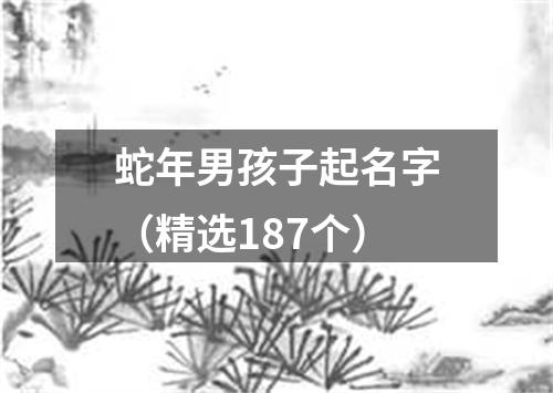 蛇年男孩子起名字（精选187个）