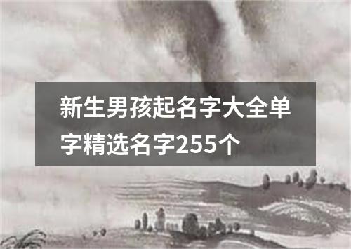 新生男孩起名字大全单字精选名字255个