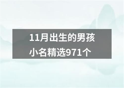 11月出生的男孩小名精选971个