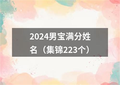 2024男宝满分姓名（集锦223个）