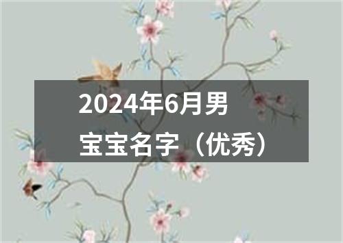 2024年6月男宝宝名字（优秀）