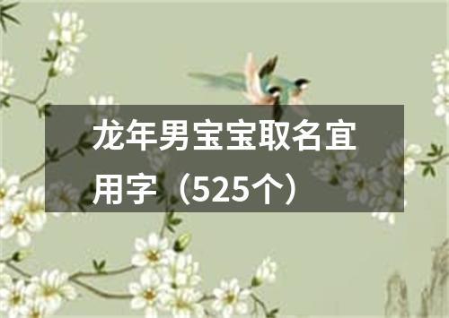 龙年男宝宝取名宜用字（525个）