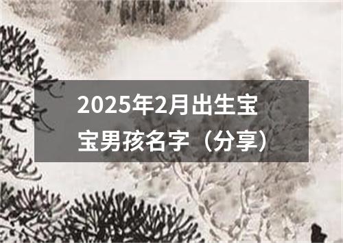 2025年2月出生宝宝男孩名字（分享）