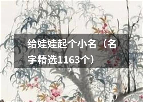 给娃娃起个小名（名字精选1163个）