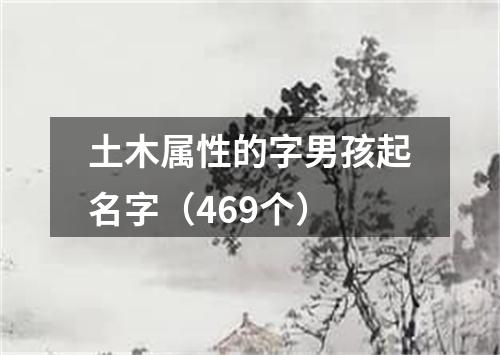 土木属性的字男孩起名字（469个）