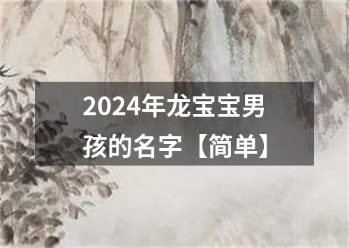 2024年龙宝宝男孩的名字【简单】