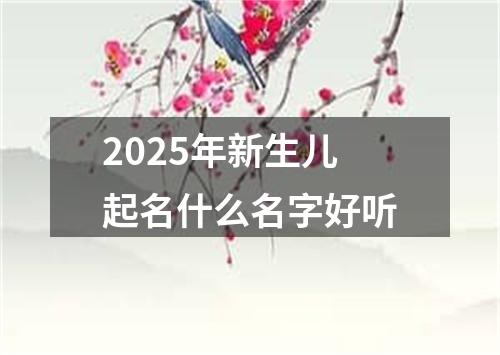 2025年新生儿起名什么名字好听