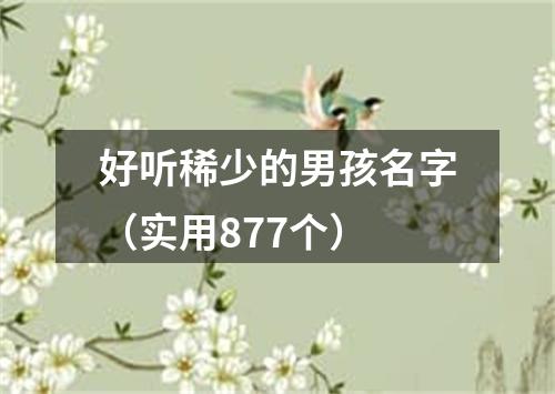 好听稀少的男孩名字（实用877个）