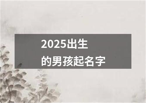 2025出生的男孩起名字