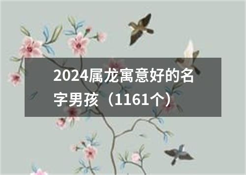 2024属龙寓意好的名字男孩（1161个）