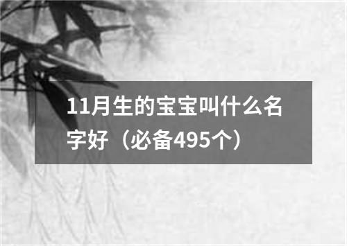 11月生的宝宝叫什么名字好（必备495个）