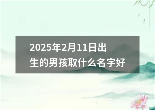 2025年2月11日出生的男孩取什么名字好