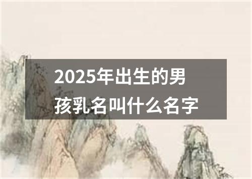 2025年出生的男孩乳名叫什么名字