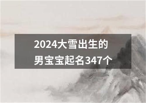 2024大雪出生的男宝宝起名347个