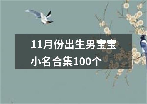 11月份出生男宝宝小名合集100个