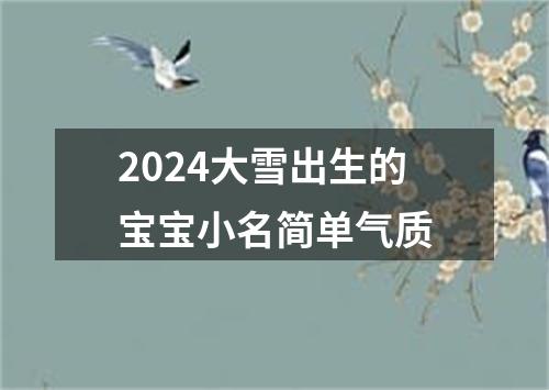 2024大雪出生的宝宝小名简单气质