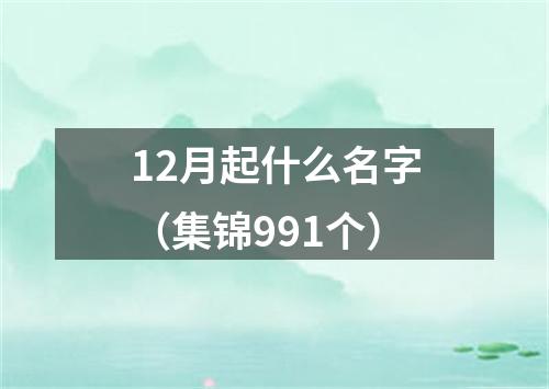 12月起什么名字（集锦991个）