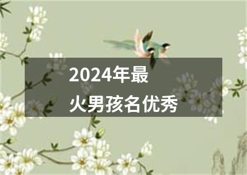 2024年最火男孩名优秀