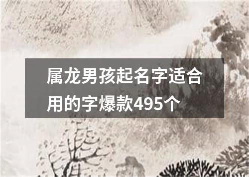 属龙男孩起名字适合用的字爆款495个