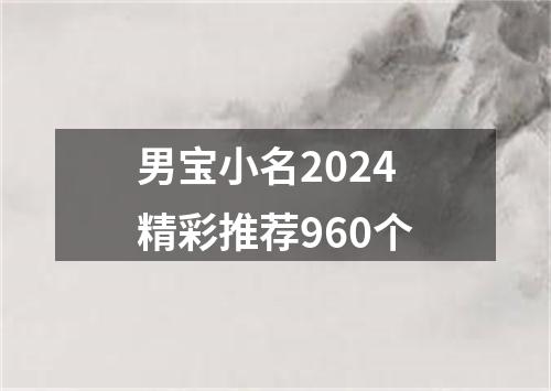 男宝小名2024精彩推荐960个