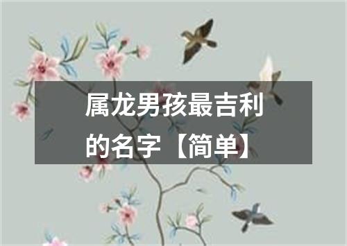 属龙男孩最吉利的名字【简单】