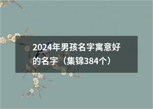 2024年男孩名字寓意好的名字（集锦384个）