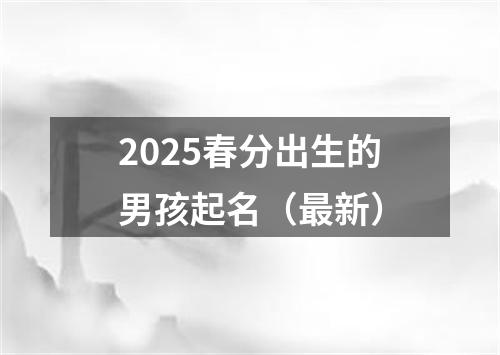 2025春分出生的男孩起名（最新）