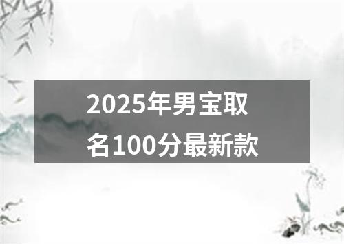 2025年男宝取名100分最新款