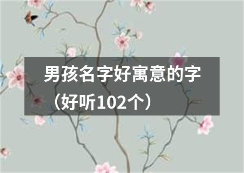 男孩名字好寓意的字（好听102个）