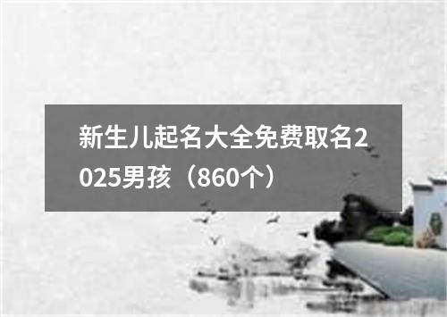 新生儿起名大全免费取名2025男孩（860个）