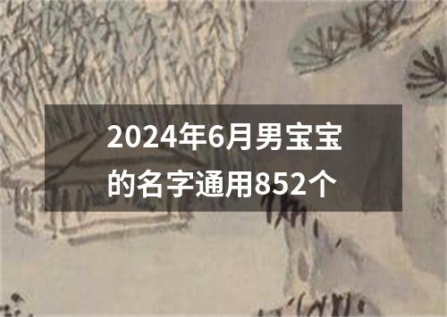 2024年6月男宝宝的名字通用852个