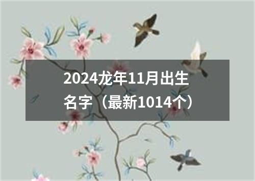 2024龙年11月出生名字（最新1014个）