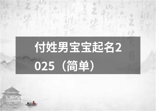 付姓男宝宝起名2025（简单）