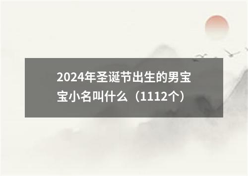 2024年圣诞节出生的男宝宝小名叫什么（1112个）