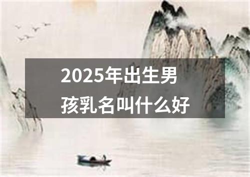 2025年出生男孩乳名叫什么好