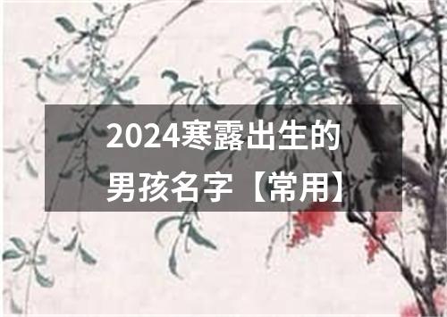 2024寒露出生的男孩名字【常用】