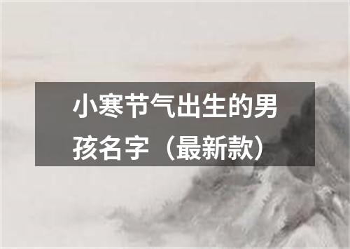 小寒节气出生的男孩名字（最新款）