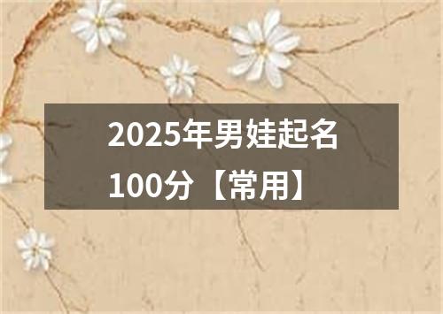 2025年男娃起名100分【常用】