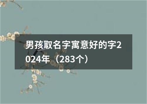 男孩取名字寓意好的字2024年（283个）