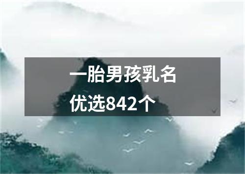 一胎男孩乳名优选842个